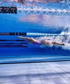 Funkita Women Swimwear POOCH PARTY | LADIES SINGLE STRAP ONE PIECE