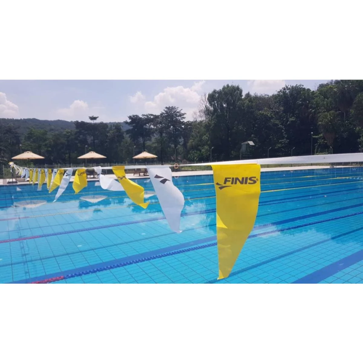 Swimshop2u.com Backstroke Flags | Mirror Fabric