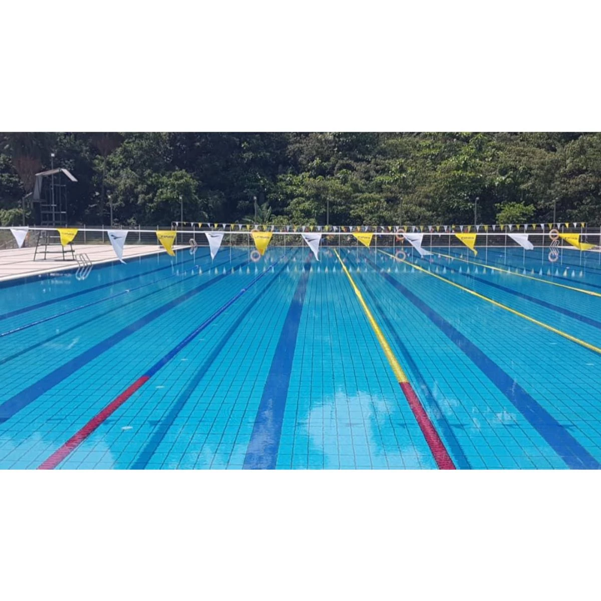 Swimshop2u.com Backstroke Flags | Mirror Fabric