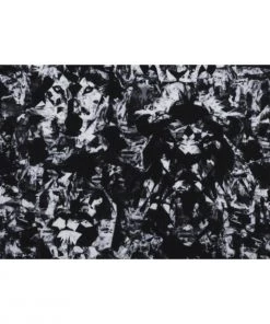 Funky Trunks MIDNIGHT ASSASSIN | BOYS TRAINING JAMMERS