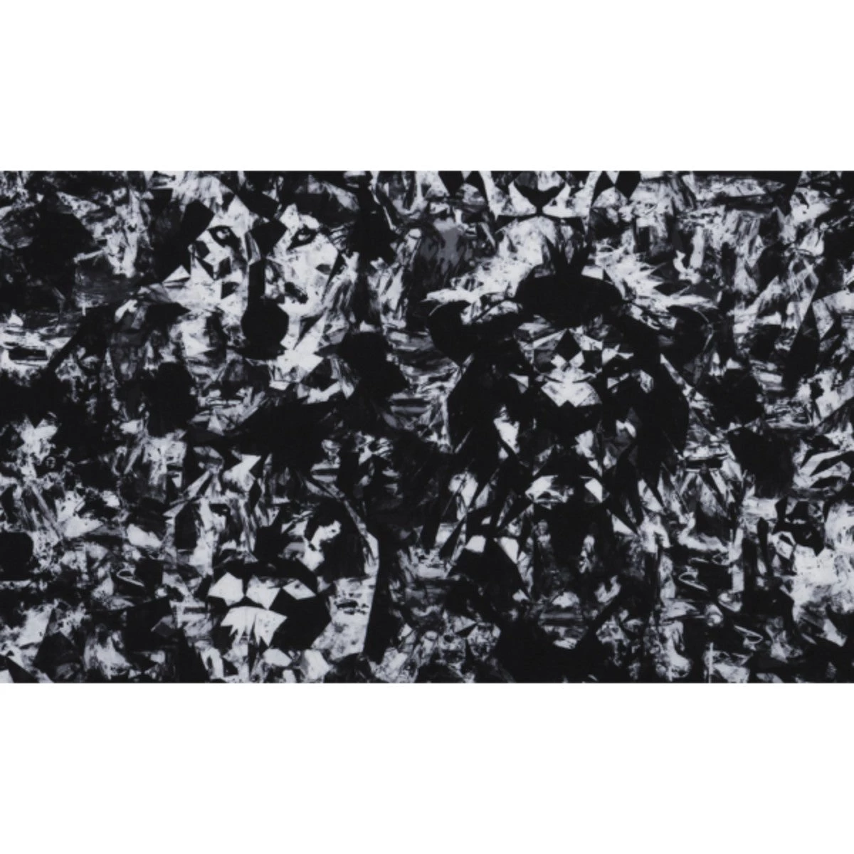 Funky Trunks MIDNIGHT ASSASSIN | BOYS TRAINING JAMMERS