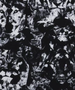 Funky Trunks Men Swimwear MIDNIGHT ASSASSIN | MENS TRAINING JAMMERS