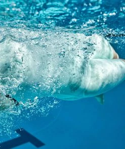 FINIS® VAPOR: RACE JOHN | TECHNICAL RACING SUIT