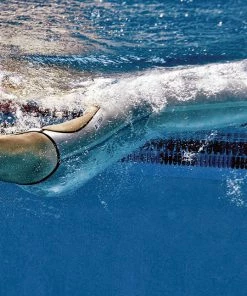 FINIS® VAPOR: RACE JOHN | TECHNICAL RACING SUIT